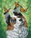 Собака і метелики Картина за номерами ТМ АртСторі, Подарункова коробка, 40 х 50 см