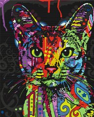 Купить Картина антистрес по номерам Абиссинская кошка без коробки  в Украине