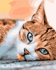 Купити Сонний кіт Картина за номерами ТМ АртСторі  в Україні