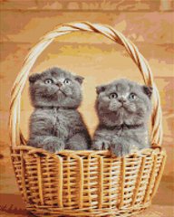 Купити Британські кошенята в корзинці Алмазна картина 40 х 50 см  в Україні