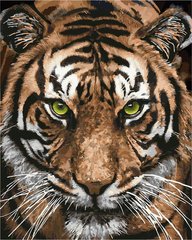 Купити Картина за номерами Величний тигр  в Україні