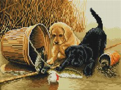 Купити Алмазна мозаїка 30х40 Грайливі собачки  в Україні