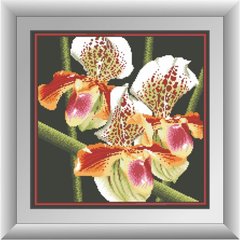 Купить 30411 Хищная орхидея Набор алмазной мозаики  в Украине