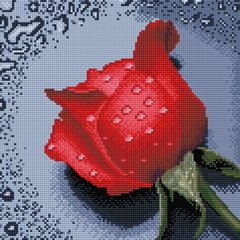 Купити Алмазна мозаїка 30х30см Троянда червона TT602  в Україні