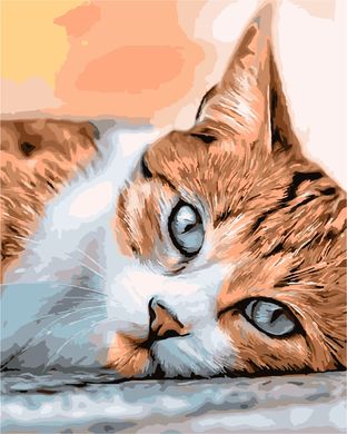Купить Сонный кот Картина по номерам ТМ АртСтори  в Украине