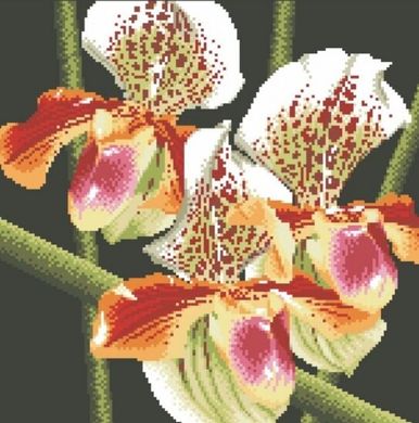 Купити 30411 Хижа орхідея Набір алмазної мозаїки  в Україні