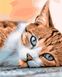 Сонный кот Картина по номерам ТМ АртСтори, Подарочная коробка, 40 х 50 см