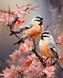 Акварельні птахи в квітах 40х50см Набір для алмазної мозаїки На підрамнику, Так, 40 x 50 см