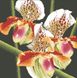 30411 Хищная орхидея Набор алмазной мозаики, Нет