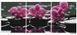 Алмазная мозаика триптих 3х40х50 Орхидеи TR1000, Нет