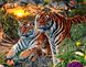 На підрамнику алмазна мозаїка Сім'я тигрів в дикій природі, Так