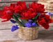 Тюльпани й гіацинти Набір для малювання по цифрам (без коробки), Без коробки, 40 х 50 см
