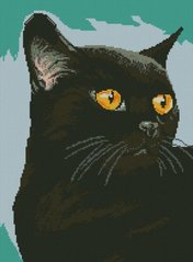 Купить Набор для алмазной вышивки Дрим Арт Черный кот  в Украине
