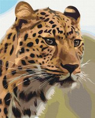 Купить Раскрашивание по номерам Пятнистый леопард (без коробки)  в Украине