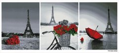 Купить Алмазная мозаика триптих 3х40х50 Парижский этюд TR1002  в Украине