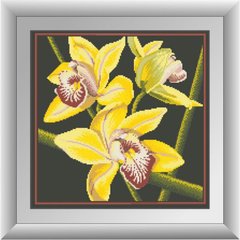 Купити 30412 Жовта орхідея Набір алмазної мозаїки  в Україні