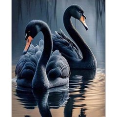 Купить Черные лебеди Набор для алмазной картины На подрамнике 40х50  в Украине
