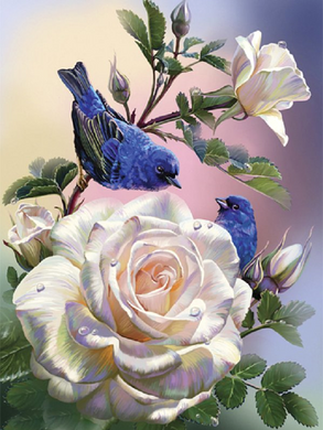 Купить Синие птички на розах Набор для алмазной мозаики на подрамнике 30х40см  в Украине