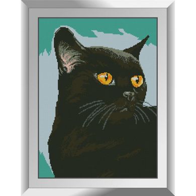 Купить Набор для алмазной вышивки Дрим Арт Черный кот  в Украине