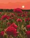 Набір для малювання картини за номерами Ідейка Троянди в полі