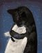 Рисование цифровой картины по номерам Кошачьи объятия, Без коробки, 40 х 50 см
