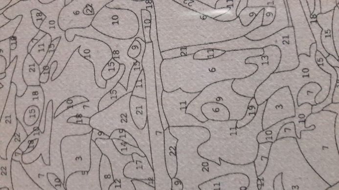 Купить Картина раскраска по цифрам Водяные лилии Клод Моне  в Украине