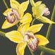 30412 Желтая орхидея Набор алмазной мозаики, Нет