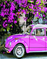 Купити Модульна картина розфарбування для дорослих на дерев'яних дощечках Рожевий автомобіль  в Україні