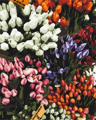 Купити Ярмарка тюльпанів Картина за номерами без коробки  в Україні