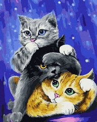 Купити Малювання картин за номерами (без коробки) Котяче тріо  в Україні