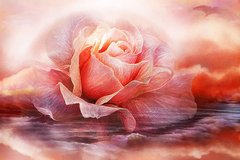 Купити Діамантова вишивка з повним закладенням полотна Пурпурна троянда-2  в Україні