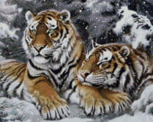 Купити Тигри на снігу Алмазна вишивка Квадратні стрази  в Україні