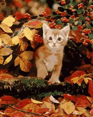 Купить Набор для рисования по номерам (без коробки) Котик в листьях  в Украине