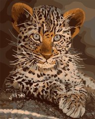 Купить Набор для рисования картины по номерам Идейка Котенок леопарда  в Украине
