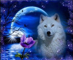 Купити Алмазна вишивка Білий вовк  в Україні