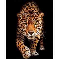 Купити Зустріч з леопардом Діамантова мозаїка На підрамнику 40х50 см  в Україні