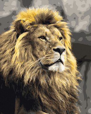 Купить Царь зверей Раскраска по номерам  в Украине