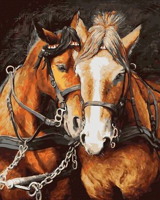 Купити Малювання картин за номерами (без коробки) Закохані коні  в Україні