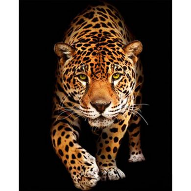 Купить Встреча с леопардом Набор для алмазной картины На подрамнике 40х50  в Украине
