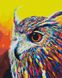 Райдужна сова Антистрес розфарбування по цифрам без коробки, Без коробки, 40 х 50 см