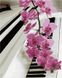 Орхідея на фортепіано Алмазна картина розфарбування 40 х 50 см, Без коробки, 40 х 50 см