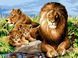 Розмальовування по номерах картина Левовий прайд, Подарункова коробка, 30 х 40 см