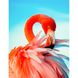 Яркий фламинго Набор для алмазной мозаики (подвесной вариант) 40х50см, Планки (4шт), 40 x 50 см