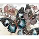 Діамантова мозаїка круглими камінчиками на підрамнику Пастельна гармонія метеликів та орхідей, Так, 30 х 40 см