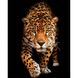 Встреча с леопардом Набор для алмазной картины На подрамнике 40х50, Да, 40 x 50 см