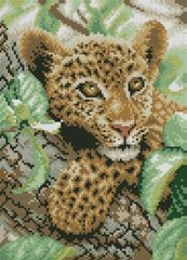 Купити Дитинча леопарда Картина алмазами за номерами  в Україні