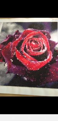 Купить Алмазная вышивка Роса на розе  в Украине