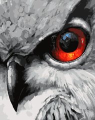 Купити Набір для малювання картини за номерами Око сови  в Україні