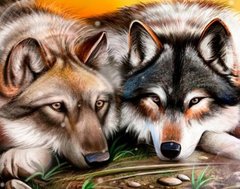 Купити Пара вовків Алмазна мозаїка На підрамнику 40 на 50 см  в Україні