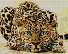 Купити Леопард причаївся Мозаїчна картина за номерами  в Україні